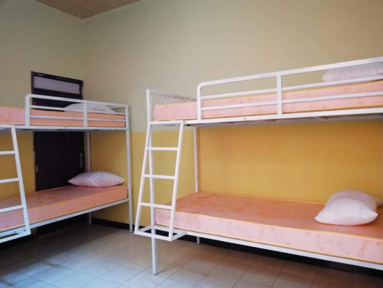 Хостел Gondar Backpackers Экстерьер фото