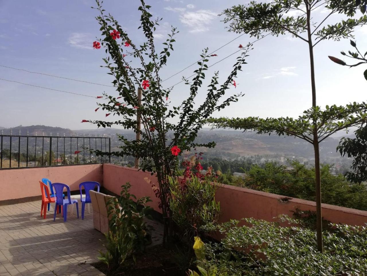 Хостел Gondar Backpackers Экстерьер фото